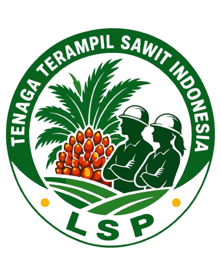 LSP - SSI